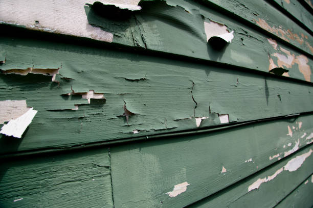 Best Recycling Services for Junk  in Livingston, MT