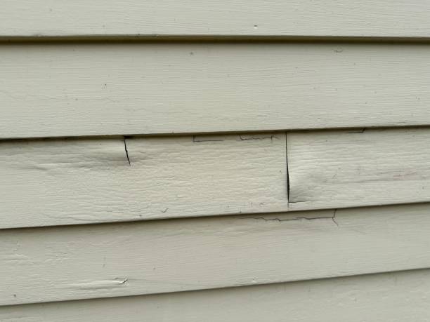 Best Foreclosure Cleanout  in Livingston, MT